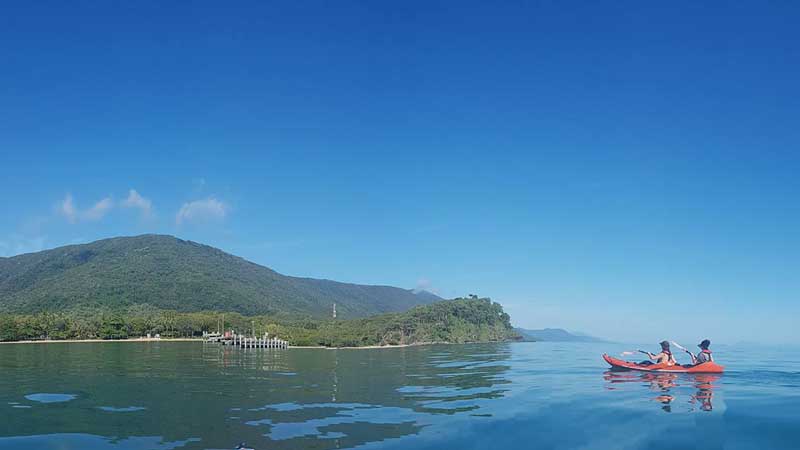 Join Palm Cove Watersports for an incredible kayaking wildlife tour!